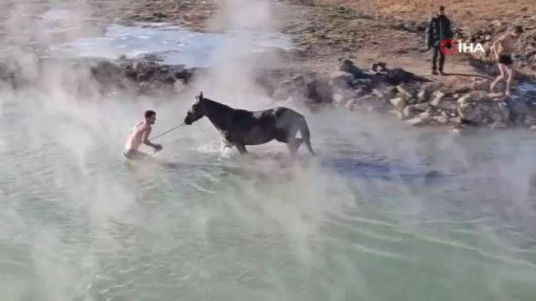 Burası Antartika değil Bitlis! Eksi 15 derecede atlarla kaplıca keyfi - Resim: 12